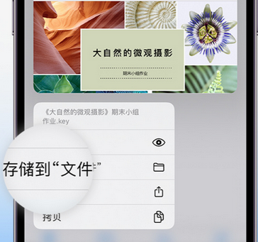 砚山apple维修中心分享iPhone文件应用中存储和找到下载文件