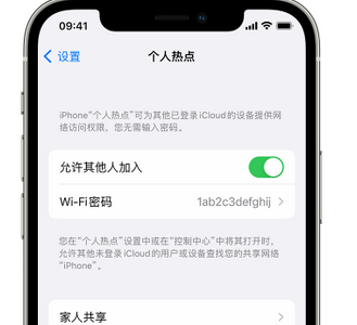 砚山apple服务站点分享iPhone上个人热点丢失了怎么办 