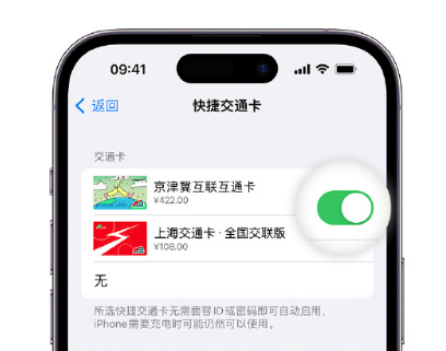 砚山apple维修点分享iPhone上更换Apple Pay快捷交通卡手绘卡面 