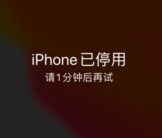 砚山苹果手机维修分享:iPhone 显示“不可用”或“已停用”怎么办？还能保留数据吗？ 