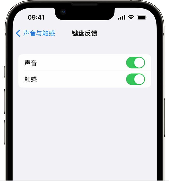 砚山苹果14维修店分享如何在 iPhone 14 机型中使用触感键盘 