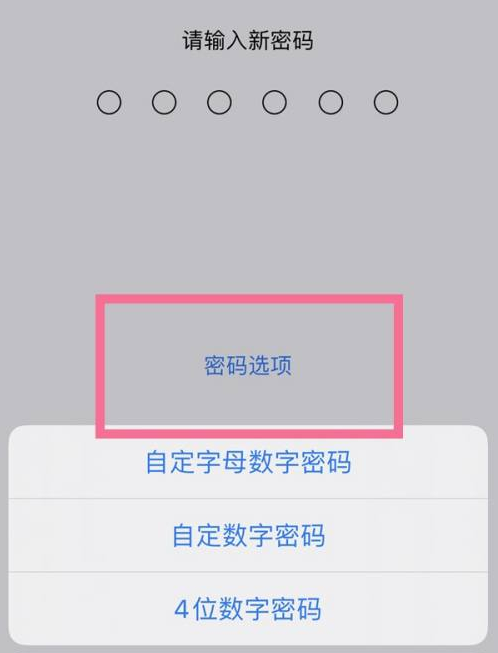 砚山苹果14维修分享iPhone 14plus设置密码的方法 