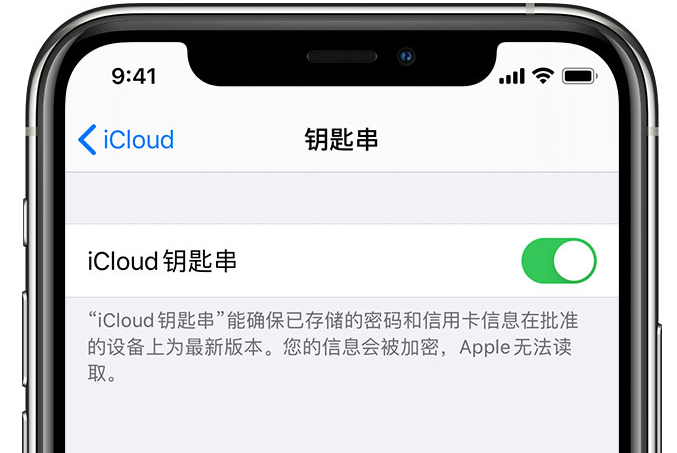 砚山苹果手机维修分享在 iPhone 上开启 iCloud 钥匙串之后会储存哪些信息 