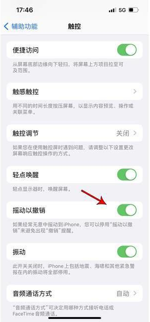 砚山苹果手机维修分享iPhone手机如何设置摇一摇删除文字 